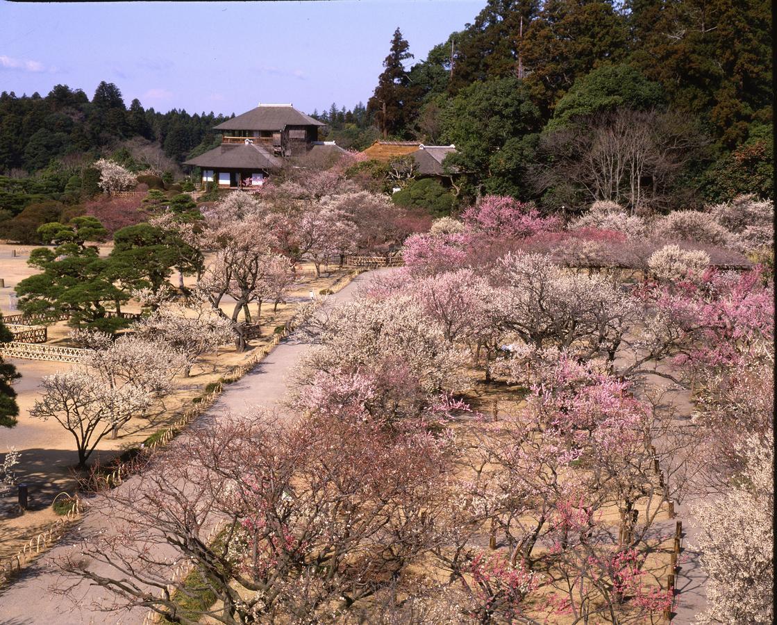 Terrace Inn Katsuta Hitachinaka Exterior foto